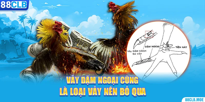 Vảy dặm ngoại cũng là loại vảy nên bỏ qua